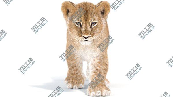 images/goods_img/20210312/Baby Lion Animated Fur 3D model/4.jpg